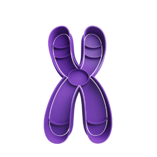 Cromosomas Cortador de Galletas