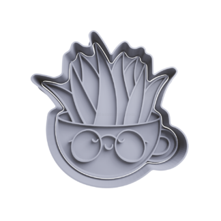 Planta Sansevieria en Maceta Cortador de Galletas