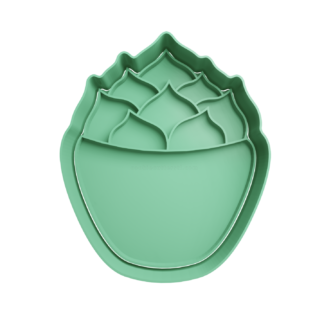 Cactus Echeveria Cortador de Galletas