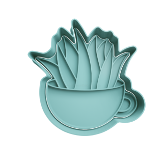 Planta Sansevieria en Maceta Cortador de Galletas